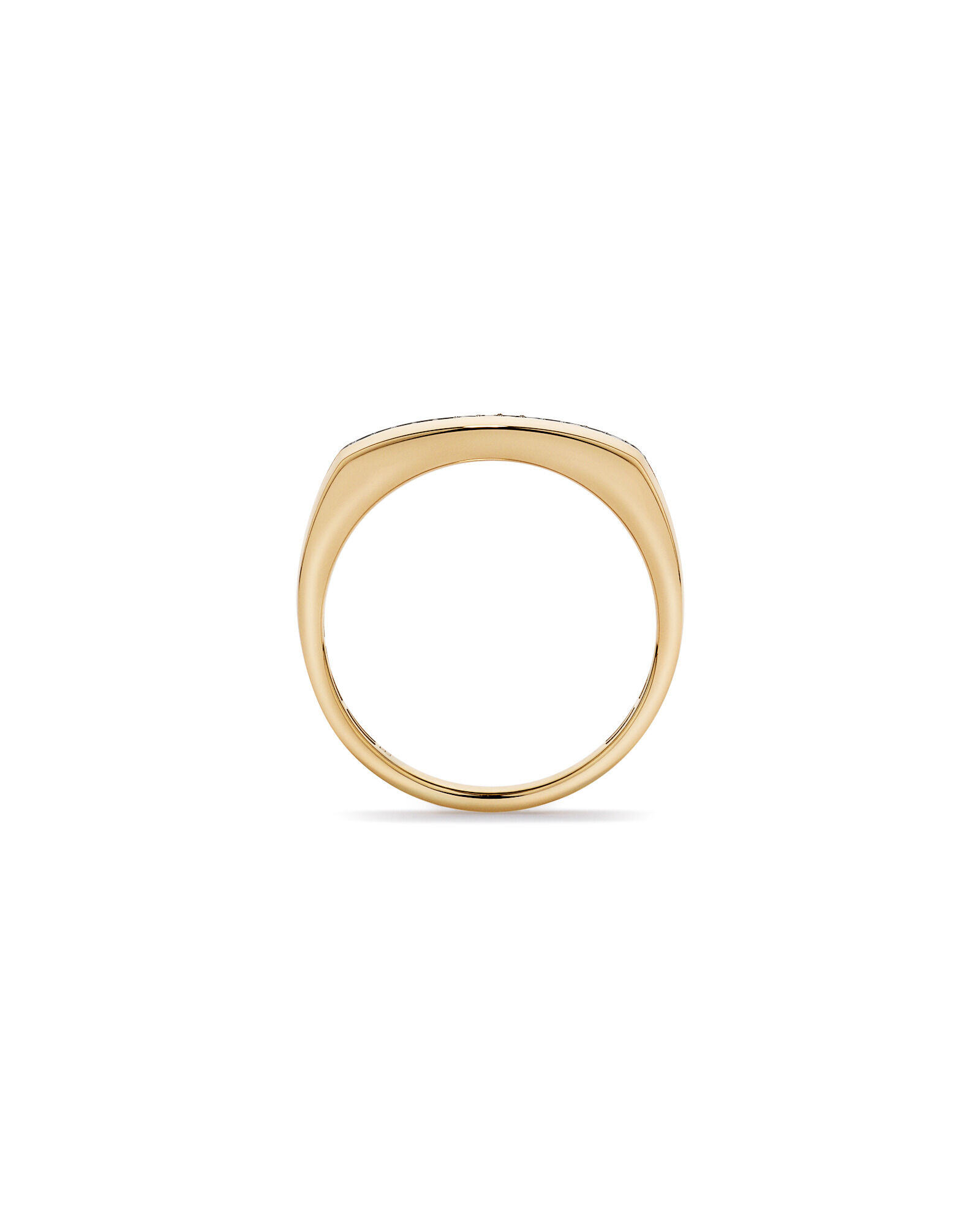 0.18 TW Black Diamond Men's Ring in 10kt Yellow Gold